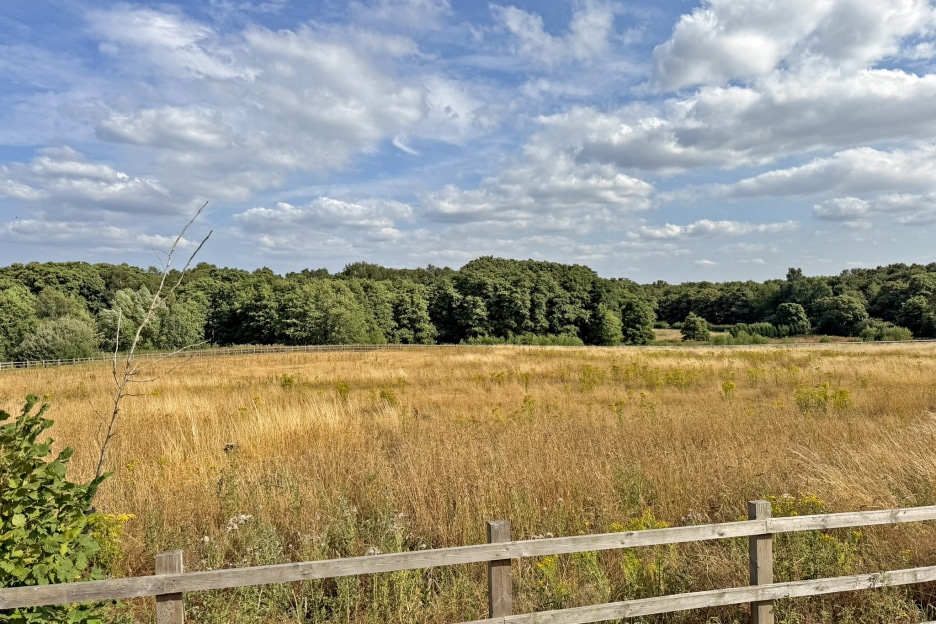 Foxglove Way, Himley, DY3